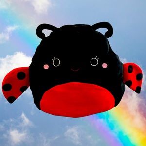 Trudy Ladybug Squishmallow ❤️